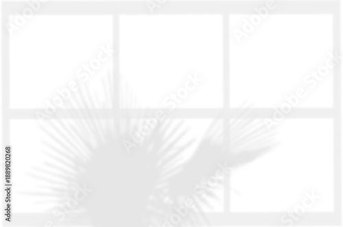 Shadow overlaying of palm tree leaves and window on wall, summer abstract sunlight