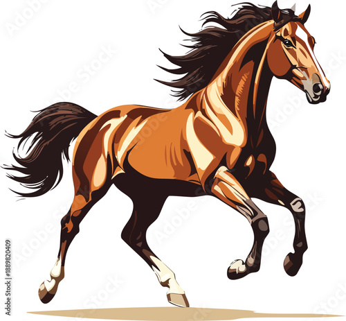 horse silhouette isolated on white