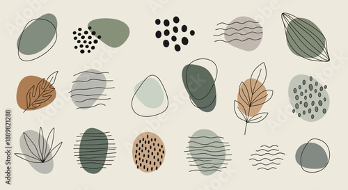 Organic shapes and line art composition featuring muted tones and a nature inspired motif backdrop