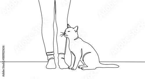 Line drawing of a domestic cat sitting beside a person standing, isolated on a transparent background with minimal details and outlined design style