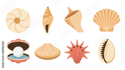 A colorful collection of various seashells and marine life illustrations
