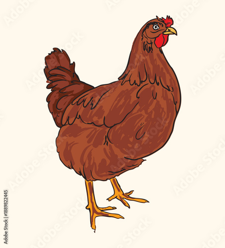 Vintage Chicken Farm Animal Illustration