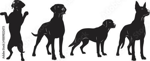 Set of black silhouettes showing various dog breeds in different standing and begging poses isolated on white background for pet care and animal concepts.