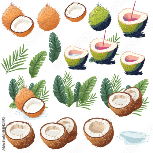 Coconut illustration with Tropical Leaves