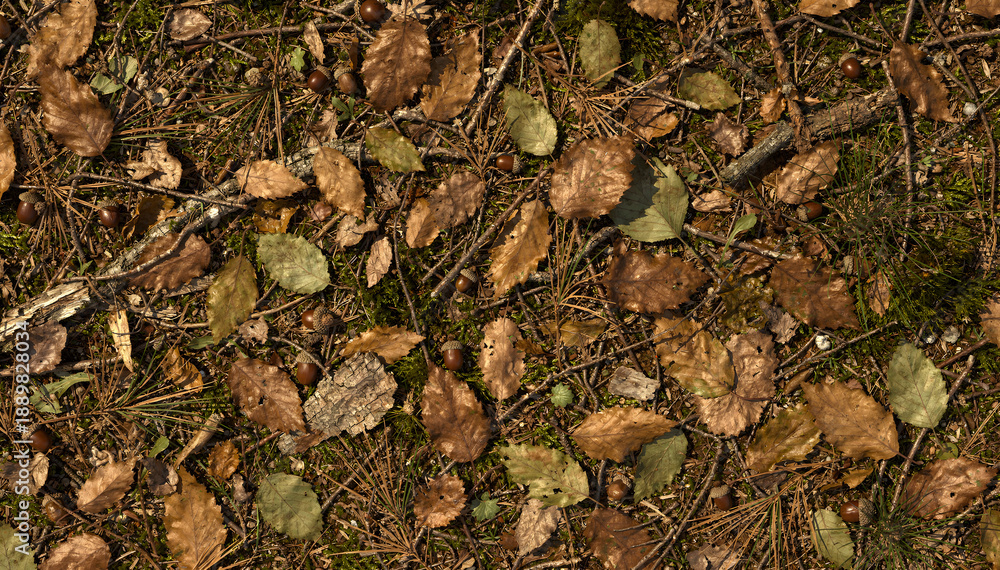 Naklejka premium Forest Floor Detail with Fallen Leaves, Pine Needles, Twigs, and Acorns in Autumnal Hues for Textures and Backgrounds. Ideal for Nature Designs and Woodland Ambiance