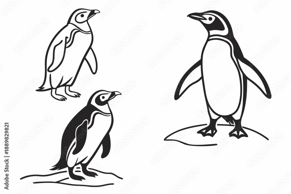 Obraz premium Placeholder image display