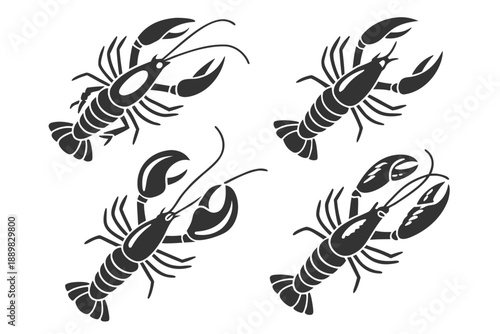 Placeholder image display