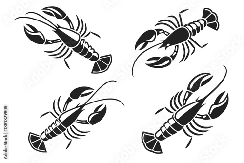 Placeholder image display