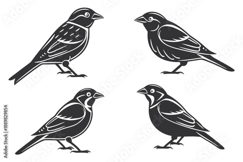 Placeholder image display