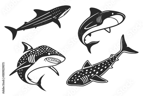 Placeholder image for vector file