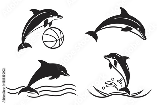 Placeholder image display