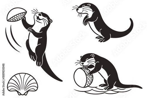 Placeholder image display