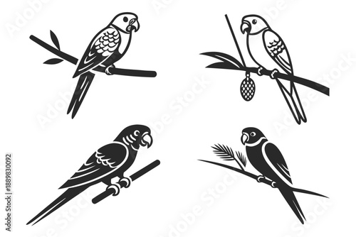 Placeholder image display