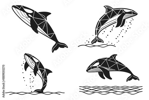 Placeholder image display