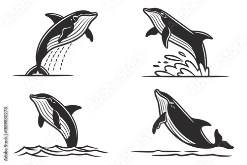 Placeholder image display