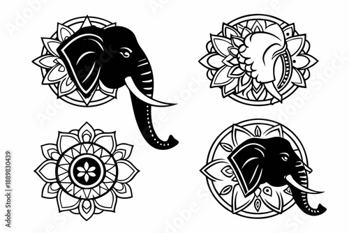 Placeholder image display