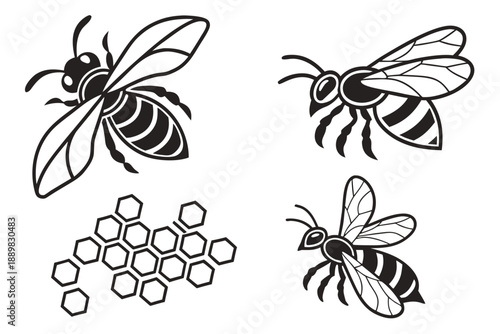 Placeholder image display