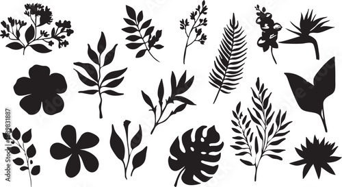 Floral vector pack: black and white leaves, flowers, and tropical plants eps silhouette