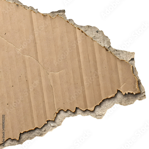 Ripped cardboard piece isolated on transparent background
