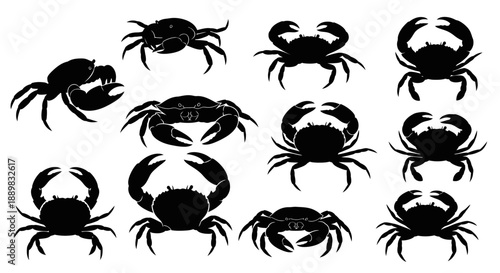 Collection of black crab silhouettes in various poses