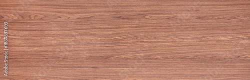 Wallpaper Mural Perfect oak veneer background for your new personal design work. Torontodigital.ca