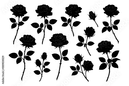 Silhouettes of blooming roses with thorns and leaves in various stages.
