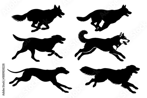 Silhouettes of various breeds in motion.