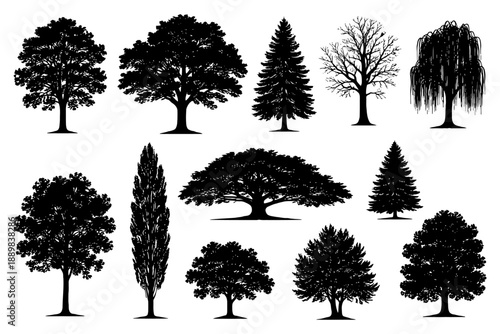 Silhouette collection of diverse tree species in various shapes and sizes.
