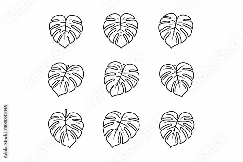 Vector pattern of nine monstera leaves in black and white