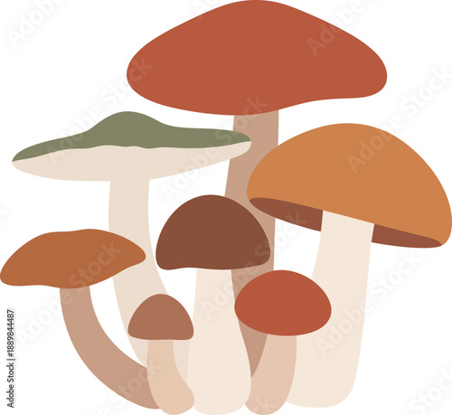 Group of Forest Mushrooms Illustration, Autumn Colors, Flat Design, Fungi