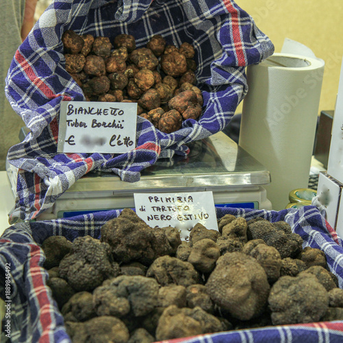 Closeup of fresh Italian truffle displayed in cloth-lined baskets with price tags at a gourmet food market. Seasonal delicacy, culinary ingredient, gastronomy concept.