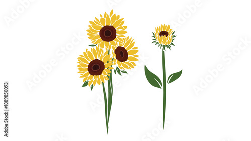 A vibrant illustration of sunflowers on a white background