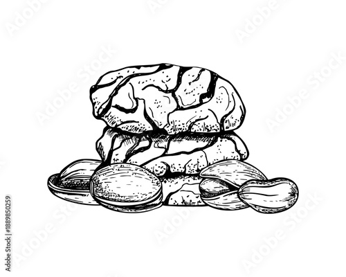 Nut cracked cookies with pistachio nut vector isolated line art black ink sketch. Traditional homemade healthy chocolate nut cookie etching drawing. Hand drawn biscuit stacked