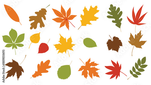A collection of colorful autumn leaves on a white background