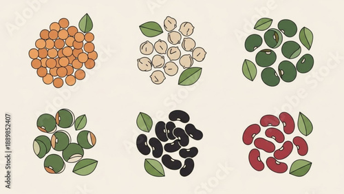 Variety of legumes and beans in six groups including kidney beans black beans and green beans on a beige background