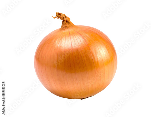 Wallpaper Mural Single yellow onion vegetable ingredient on transparent background Torontodigital.ca