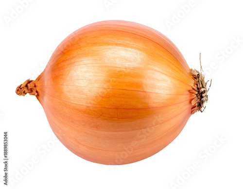 Whole yellow onion bulb on transparent background