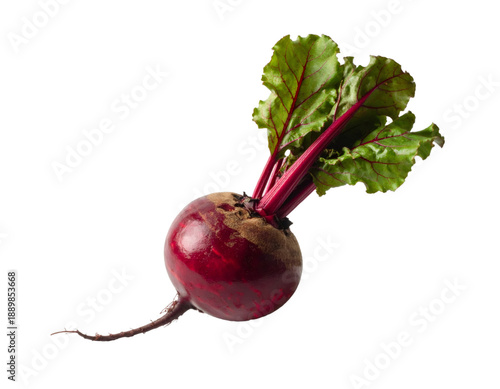 Fresh organic beetroot with green leaves, transparent background