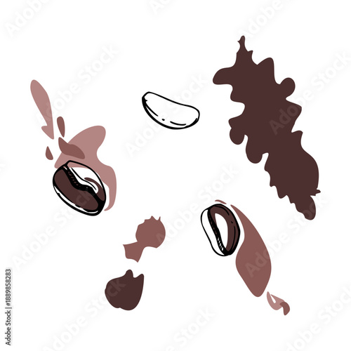 Roasted coffee arabica, robusta beans, chocolate liquid splashes and abstract blobs. Vector element hand drawn in ink. Cafe menu, espresso label art, breakfast decor, handcrafted beverage packaging.