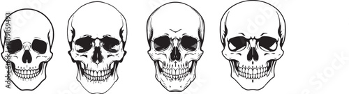 Vector measuring scale ruler illustration isolated on white background