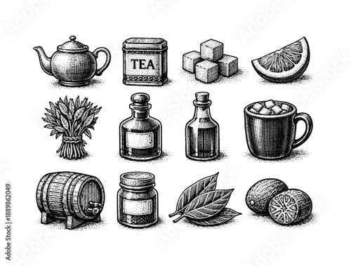 Hand drawn tea and beverage ingredients with vintage etching style