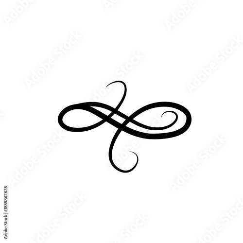 Elegant Black Calligraphy Flourish Ornament
