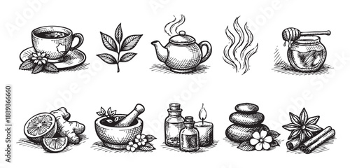 Black and white hand-drawn vector illustration of spa and wellness elements, including tea, honey, lemon, ginger, essential oils, stones, and aromatics, perfect for beauty and health concepts.