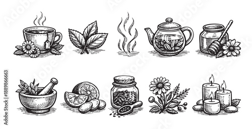 Black and white sketched vector illustration showcasing herbal medicine ingredients, including tea, honey, leaves, mortar, candles and lemon.