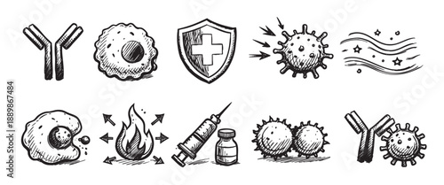 Hand-drawn line art depicts an immune system battling viruses with antibodies, white blood cells, shield protection, inflammation, and vaccines, ideal for medical illustrations.