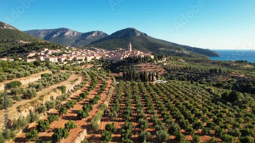 Scenic aerial view of a sunlit coastal village nestled amongst rolling hills covered in lush green olive groves and citrus orchards under a clear blue sky.