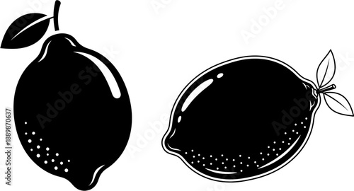 Vector illustration of two lemons with leaves, black and white design