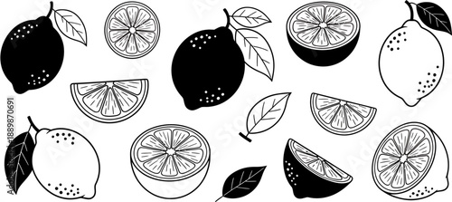 Artistic black and white outline illustrations of lemons and limes, featuring whole fruits, precise halves, and refreshing slices with subtle botanical leaves for design