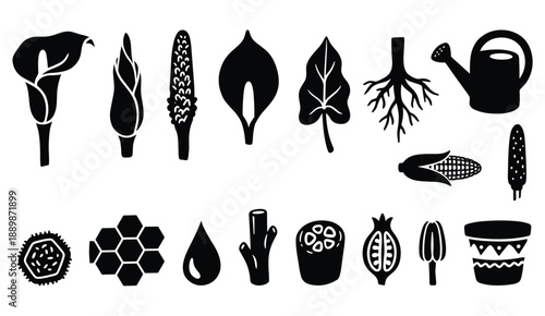 Calla lily botanical set with garden roots leaves seeds and watering can silhouette collection kit