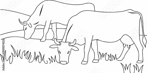Simple line drawing depicts three cows grazing in a field of grass